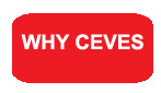 Why Ceves, Spanish Adult Education