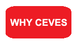 Why Ceves, Spanish Adult Education